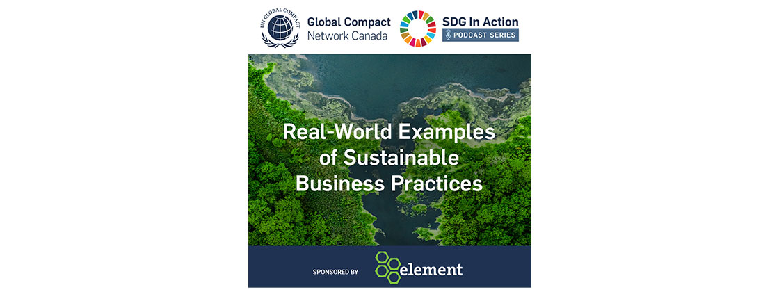 UN SDG podcast graphic