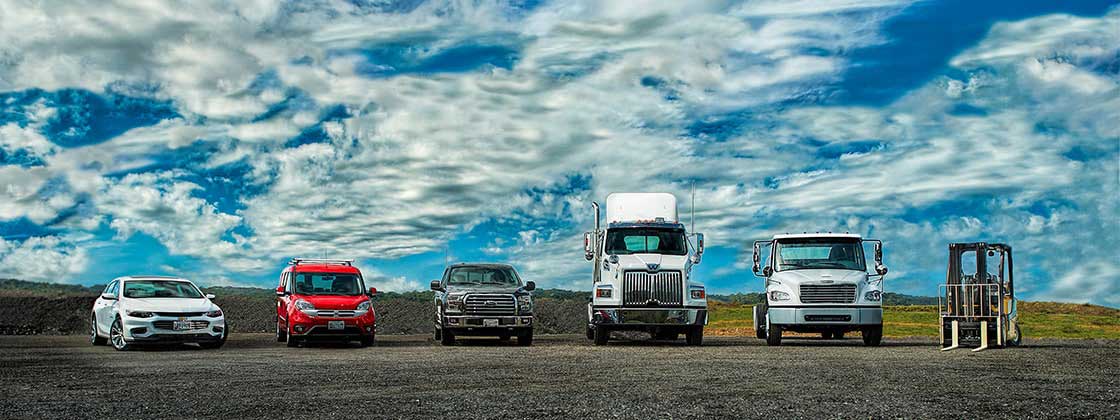 Row of fleet vehicles