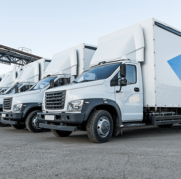 White trucks parked